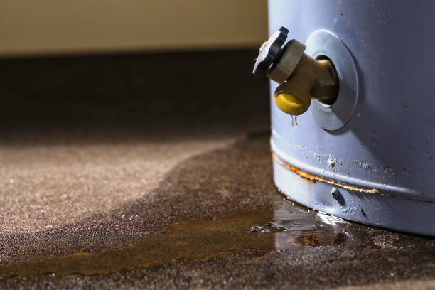 Best Water damage restoration process  in Saugerties South, NY
