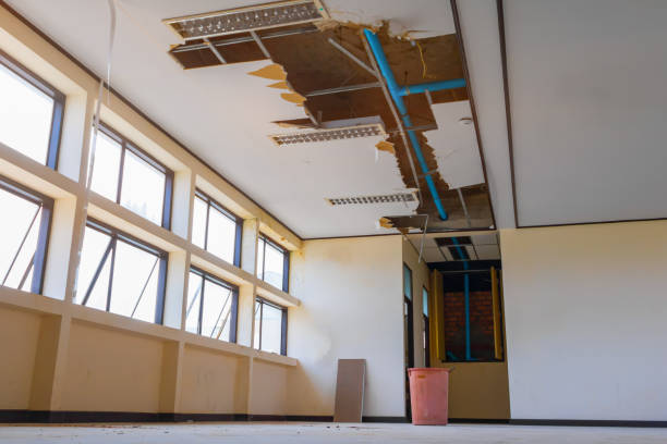 Professional Water damage restoration in Saugerties South, NY