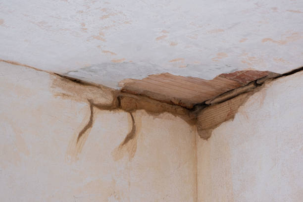 Best Basement water damage restoration  in Saugerties South, NY