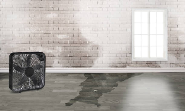 Sewage cleanup and water damage restoration in Saugerties South, NY