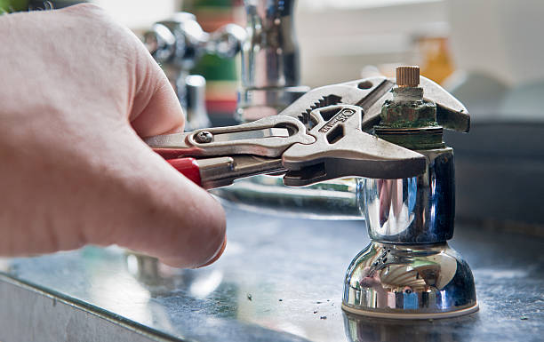 Best Water damage cleanup near me  in Saugerties South, NY