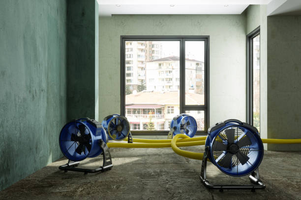 Best Flood restoration services  in Saugerties South, NY
